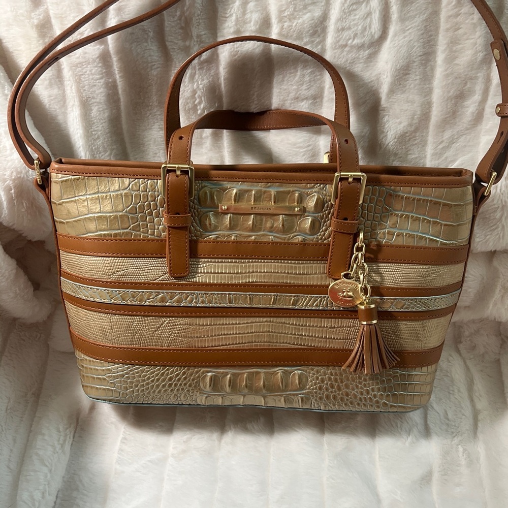 Brahmin Mini Asher